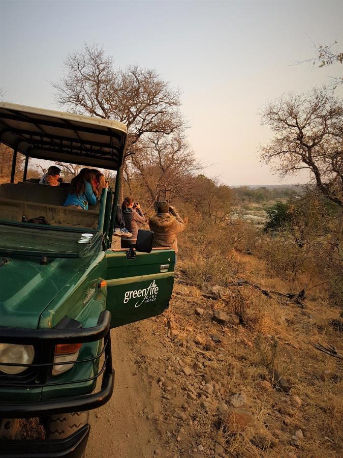 Lodge Greenfire Game Balule Game Reserve