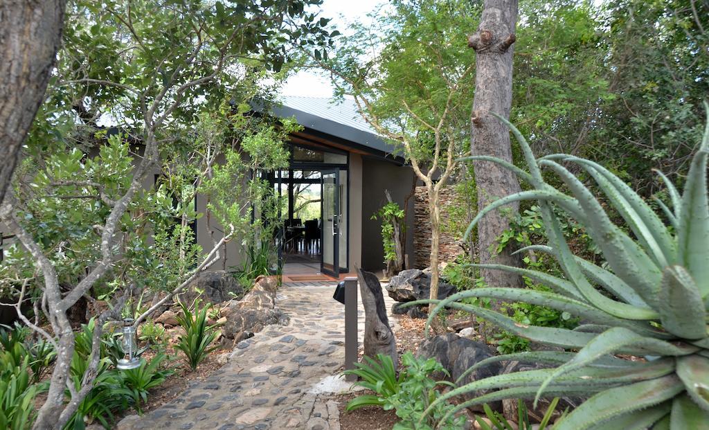 Greenfire Game * Balule Game Reserve