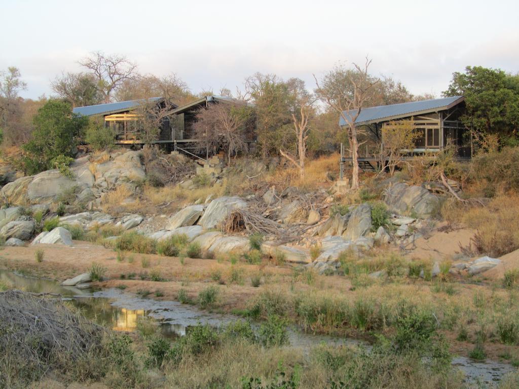 Greenfire Game Lodge Balule Game Reserve