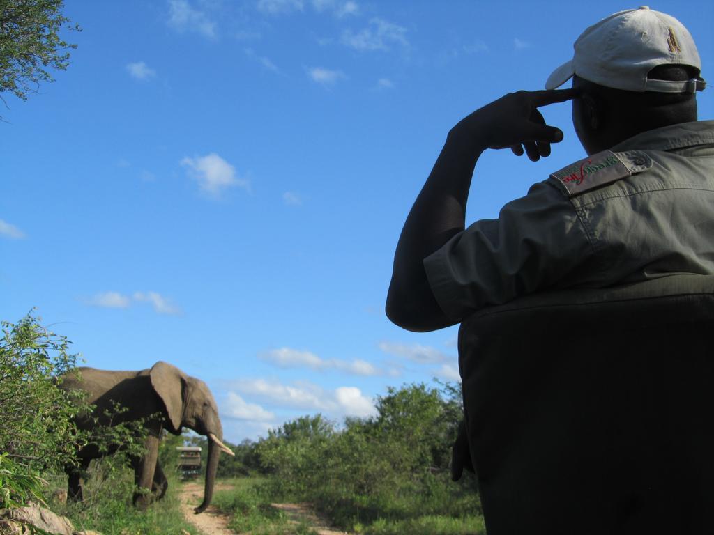 Greenfire Game * Balule Game Reserve