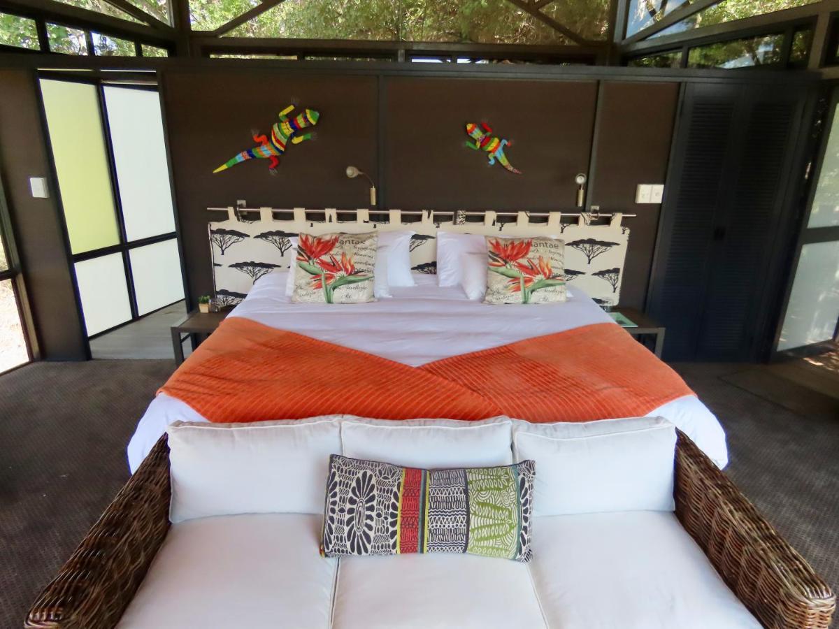 Lodge Greenfire Game Balule Game Reserve