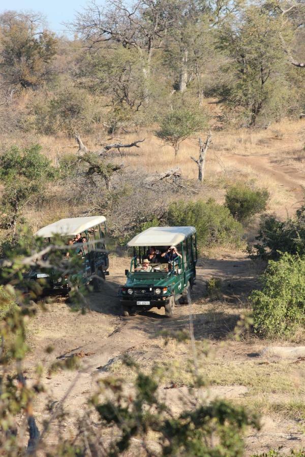 Lodge Greenfire Game